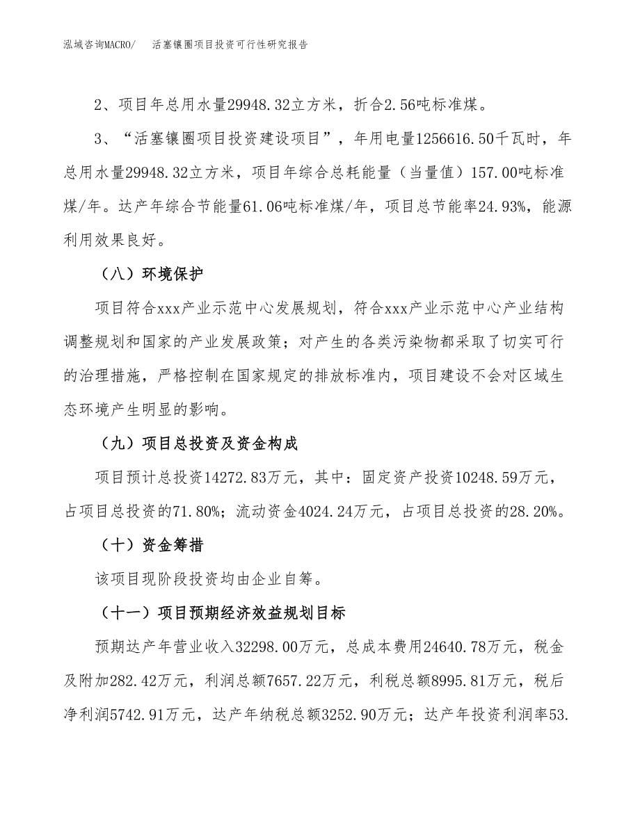 活塞镶圈项目投资可行性研究报告.docx_第5页