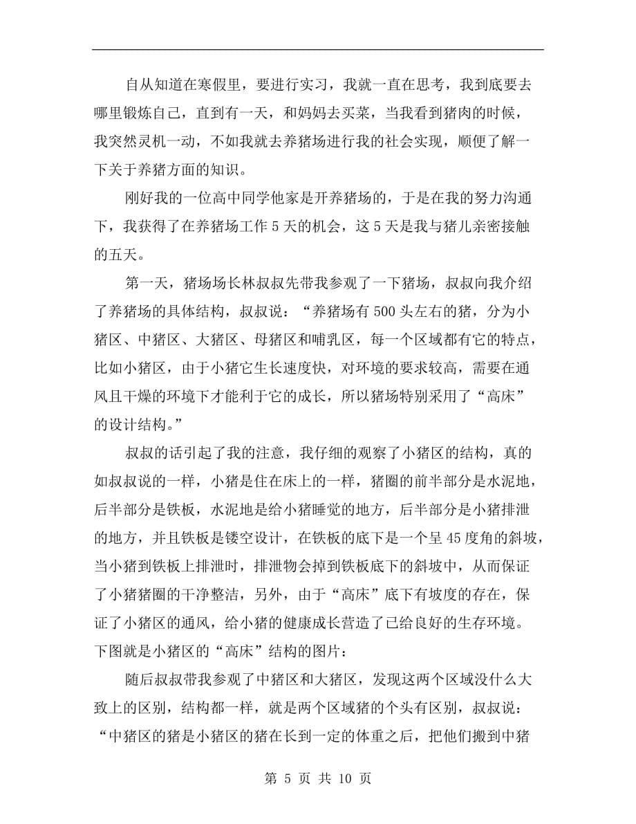 养猪场寒假实习总结范文_第5页