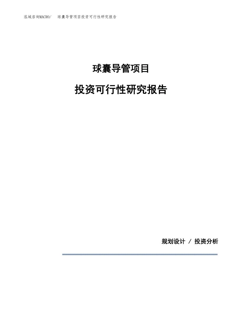 球囊导管项目投资可行性研究报告.docx_第1页