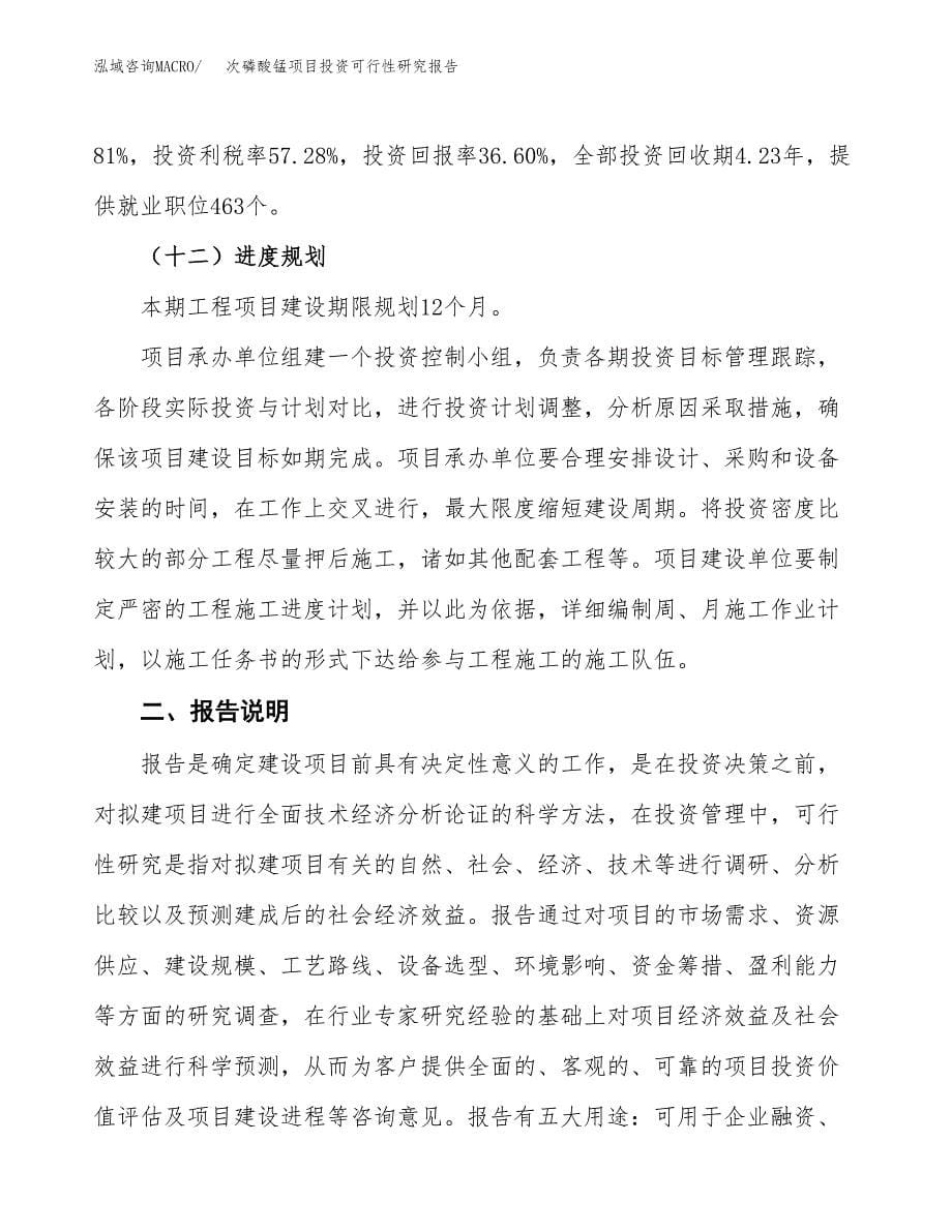 次磷酸锰项目投资可行性研究报告.docx_第5页