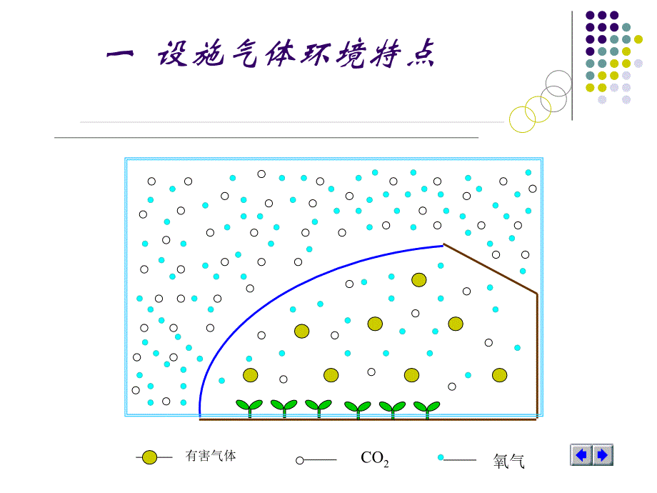 设施内气体的特点与调控讲解_第3页