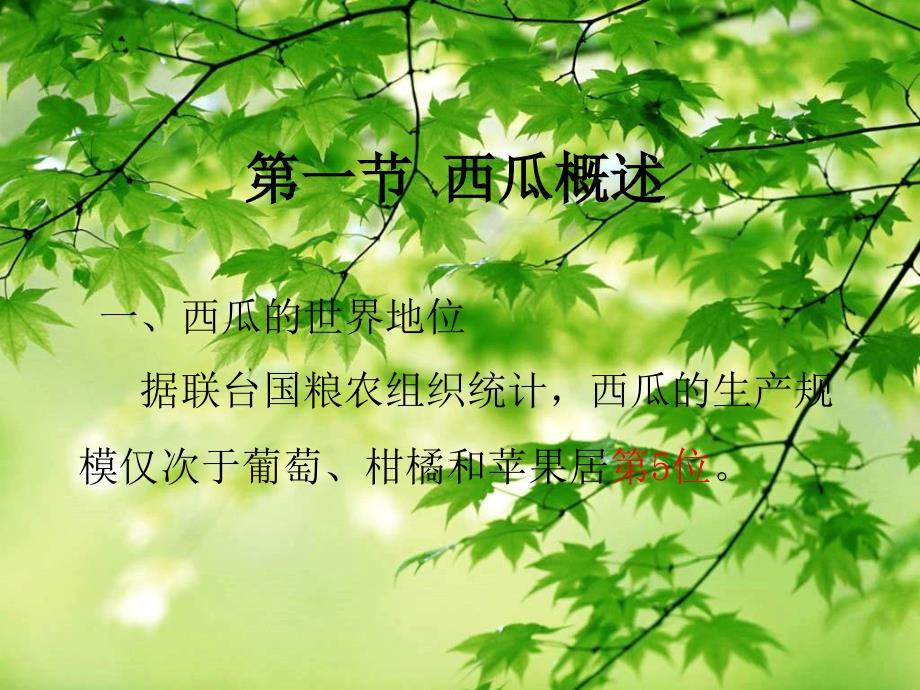 西瓜育种.ppt解读_第2页