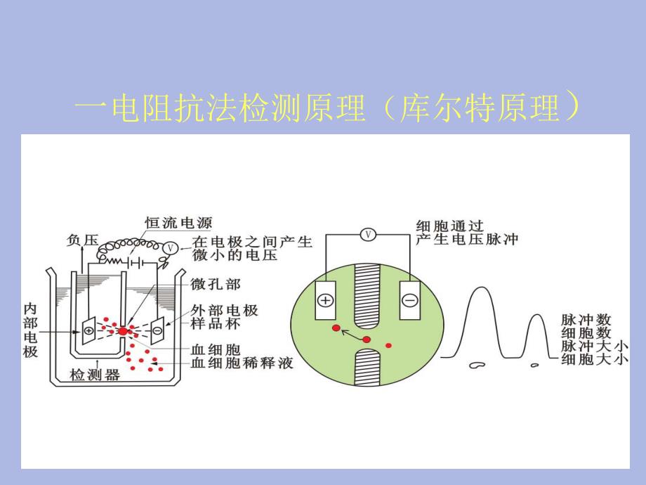 血细胞分析仪检测原理18_第2页