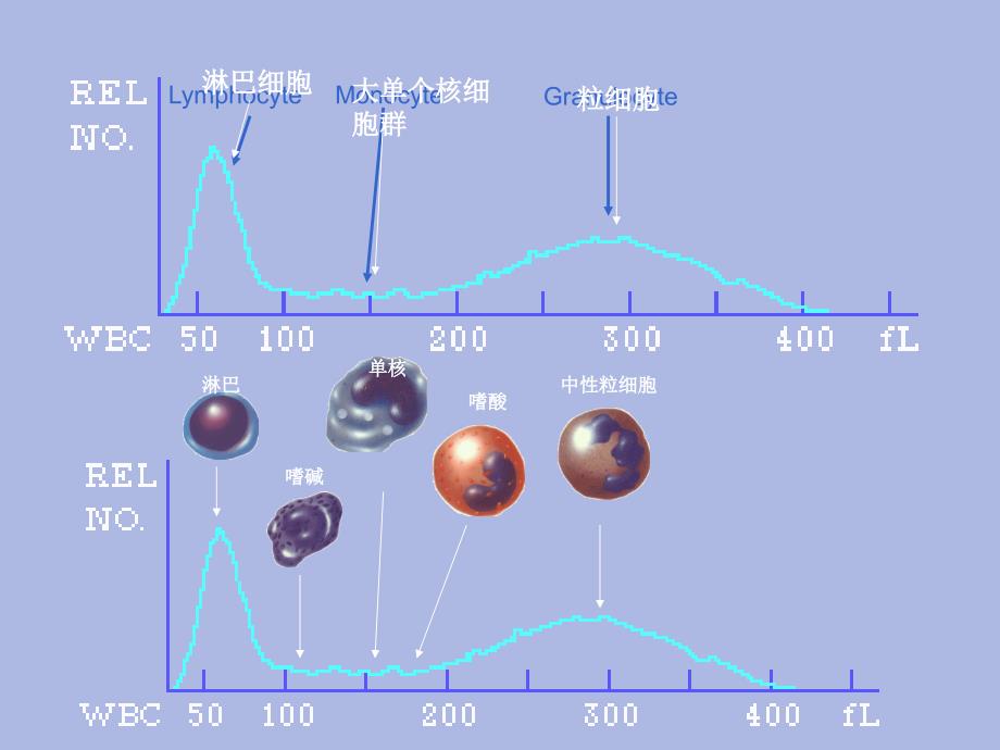 血细胞分析仪检测原理18_第4页