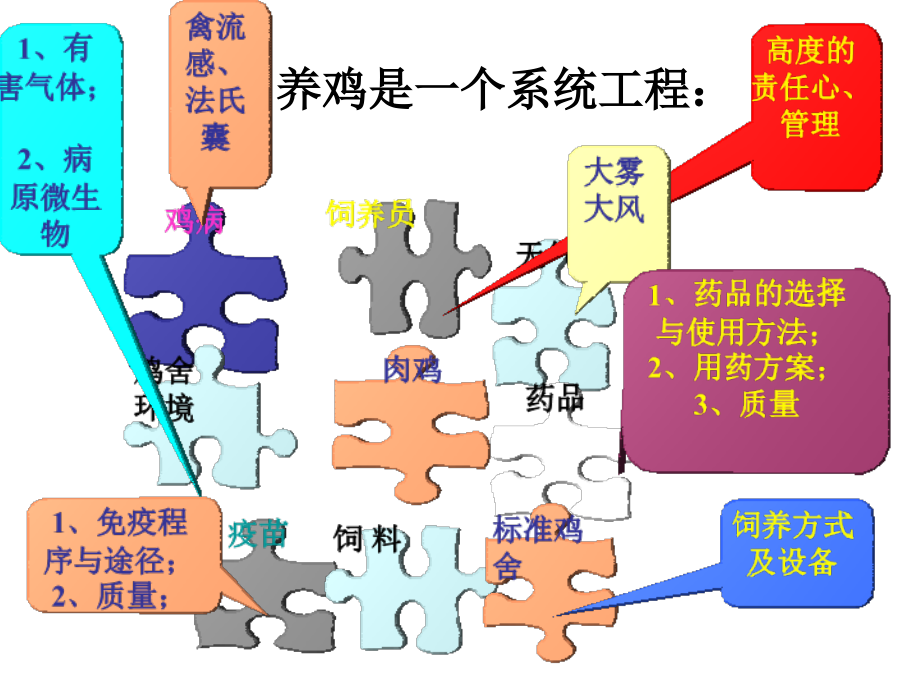 标准化鸡舍的饲养管理与环境控制_第3页