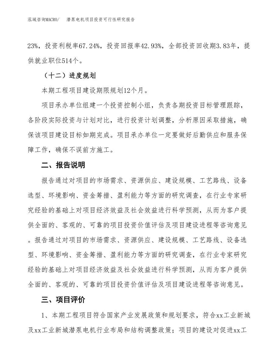 潜泵电机项目投资可行性研究报告.docx_第5页