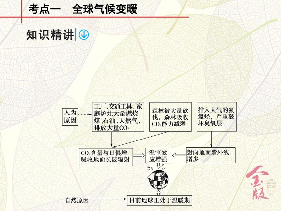 学案11 全球气候变化和气候类型判读_第4页