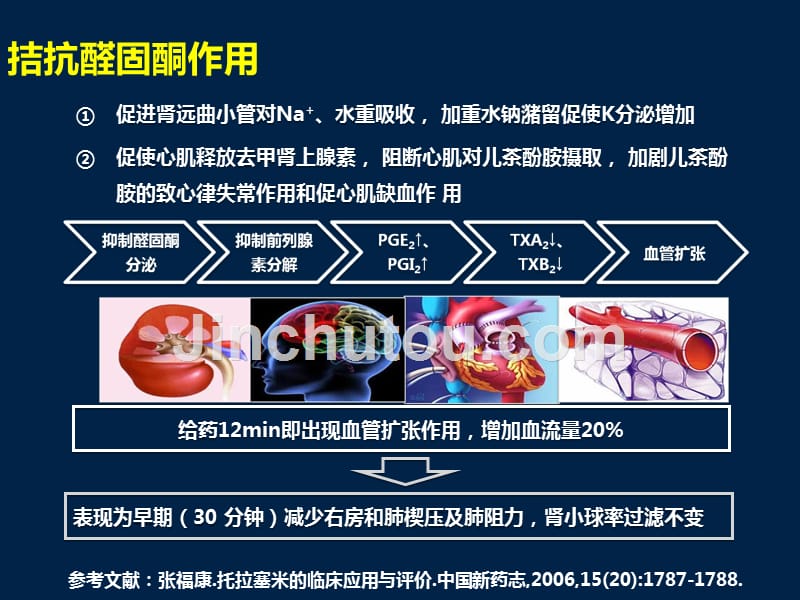 托拉塞米的临床应用讲解_第4页