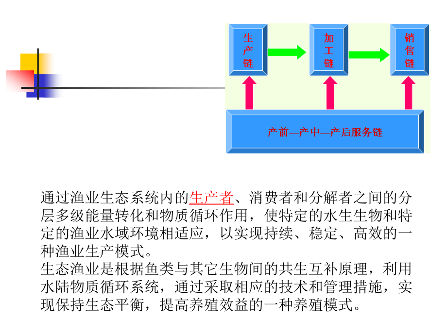 生态渔业渔业价值讲解_第2页