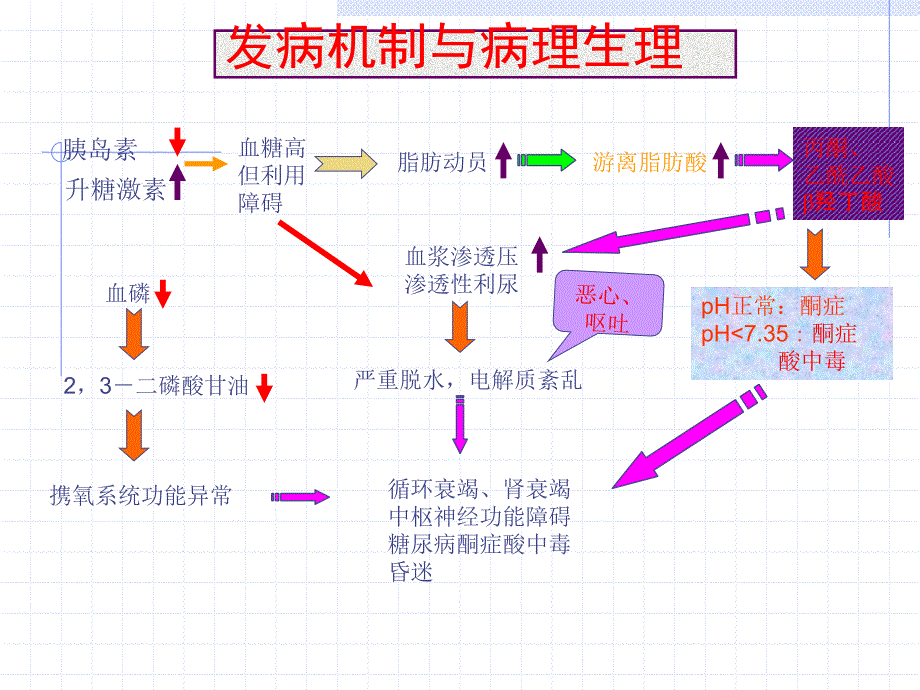 糖尿病酮症酸中毒与高渗性昏迷讲解_第3页