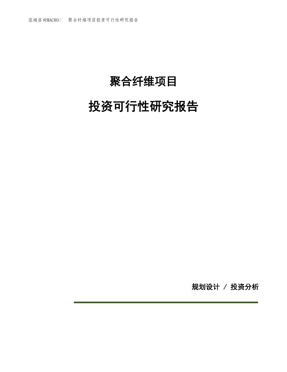 聚合纤维项目投资可行性研究报告.docx_第1页