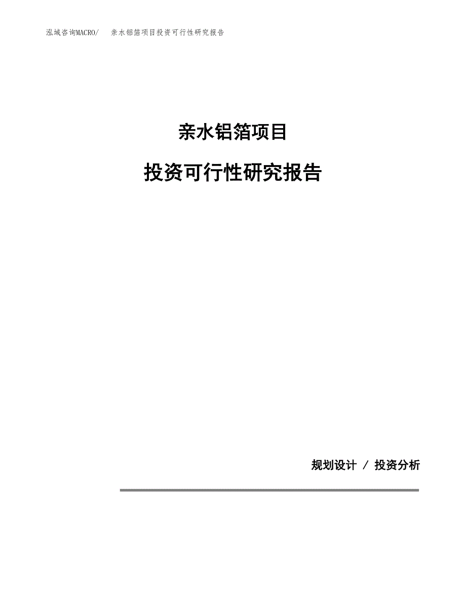 亲水铝箔项目投资可行性研究报告.docx_第1页