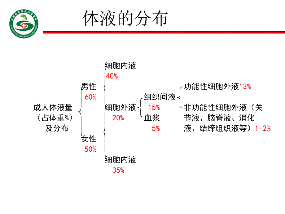 外科病人的体液失调节(新模版)讲解_第3页