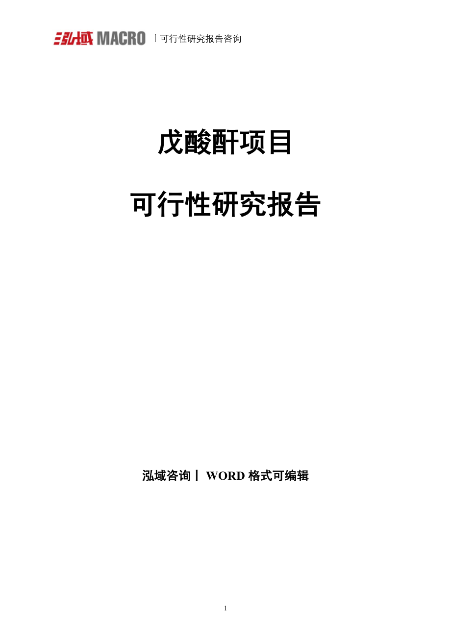 戊酸酐项目可行性研究报告_第1页