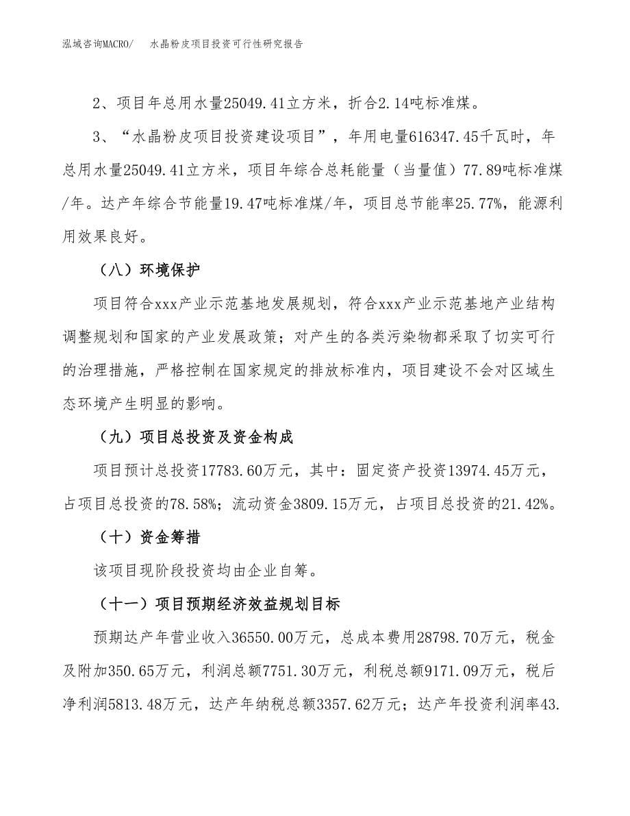 水晶粉皮项目投资可行性研究报告.docx_第5页