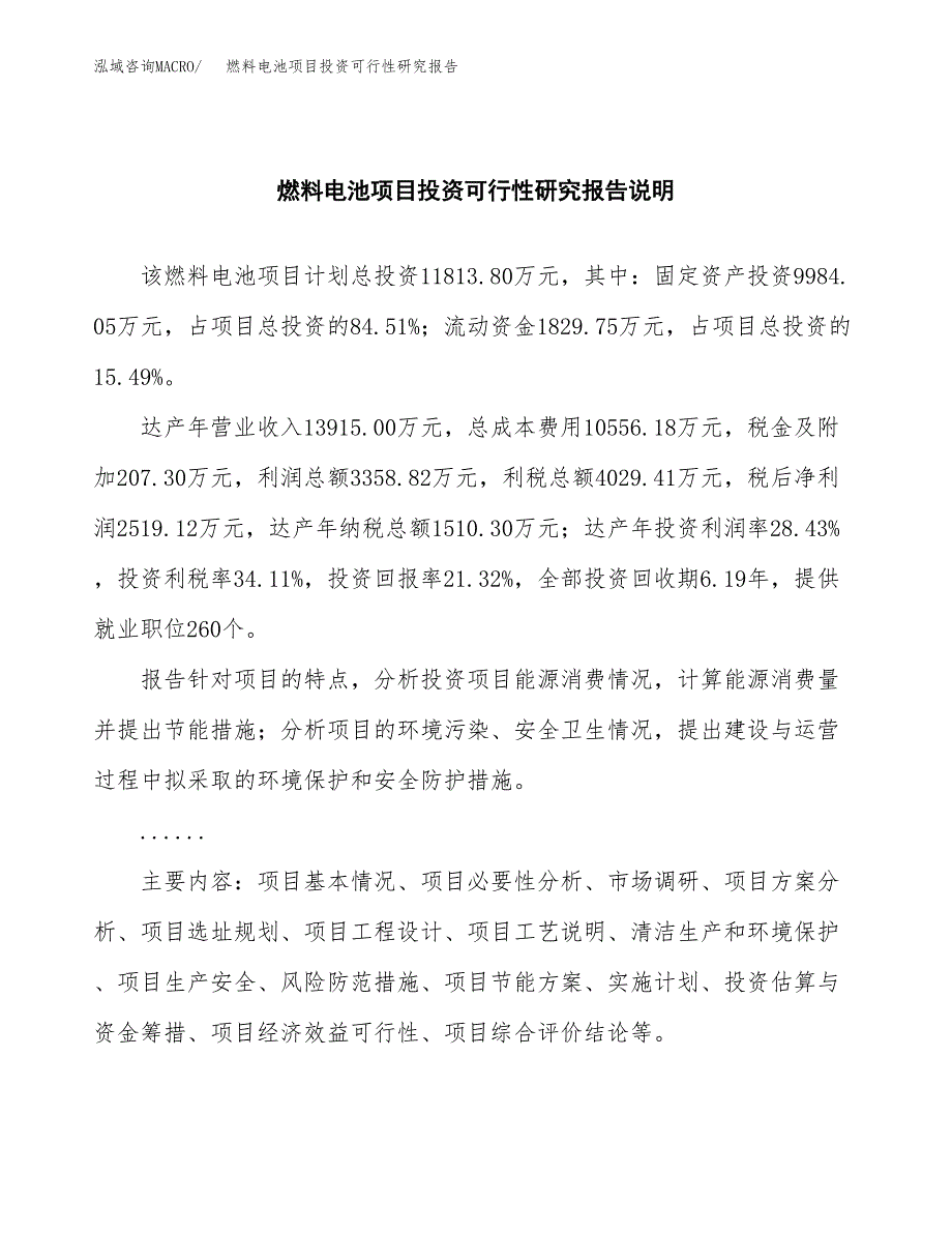 燃料电池项目投资可行性研究报告.docx_第2页