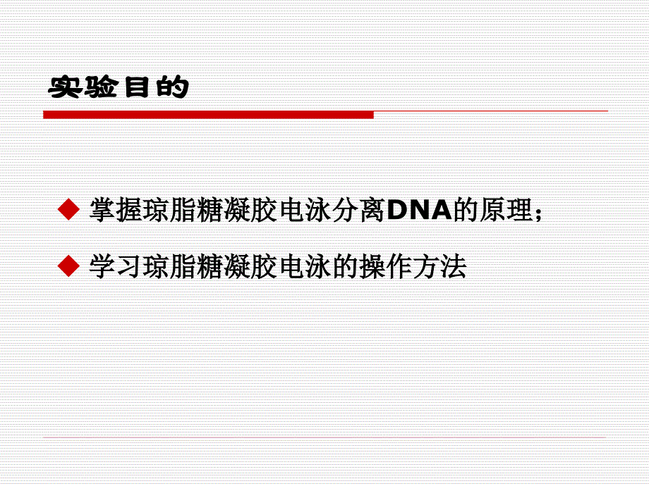 试验二质粒DNA电泳鉴定_武汉大学药学院_第2页