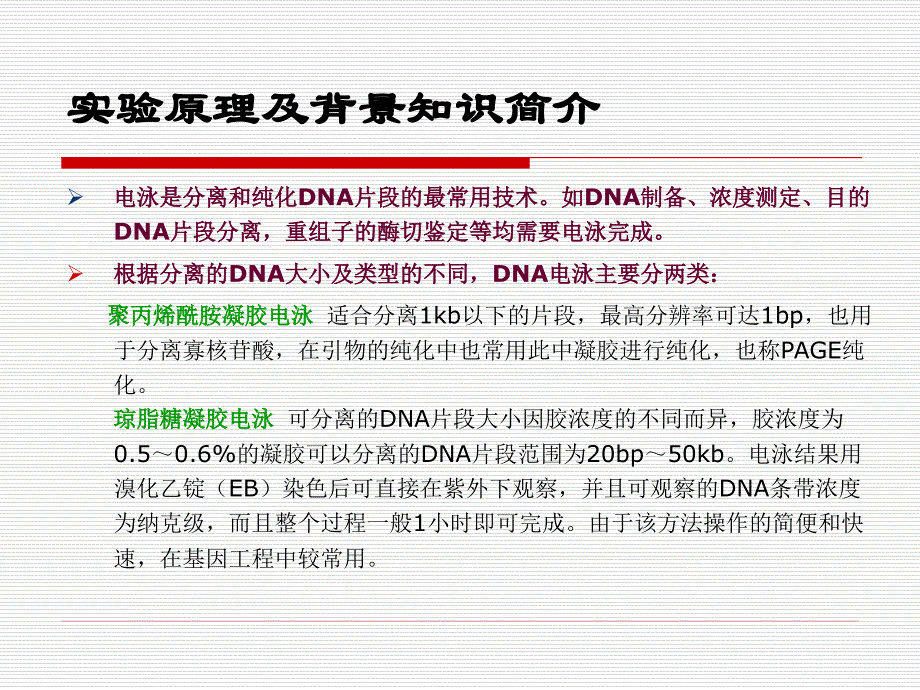 试验二质粒DNA电泳鉴定_武汉大学药学院_第3页