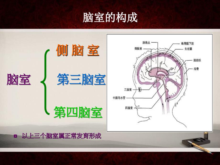 脑室镜颅底造瘘术 (2)讲解_第3页