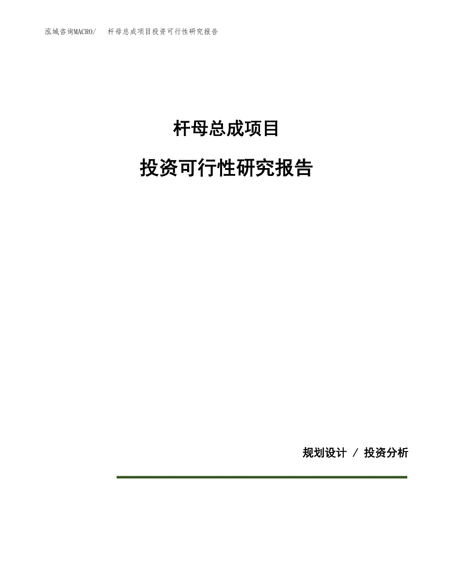 杆母总成项目投资可行性研究报告.docx_第1页