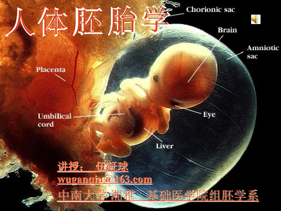 胚胎学绪论和人胚早期发生讲解_第1页