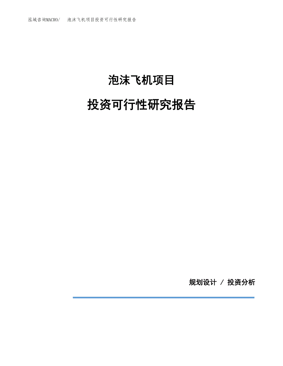 泡沫飞机项目投资可行性研究报告.docx_第1页