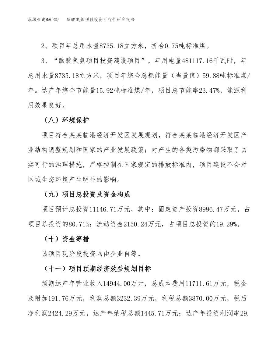 酞酸氢氨项目投资可行性研究报告.docx_第5页