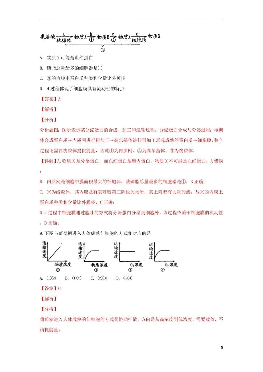 山东省潍坊市一中2018－2019学年高一生物第一学期期中试卷（含解析）_第5页