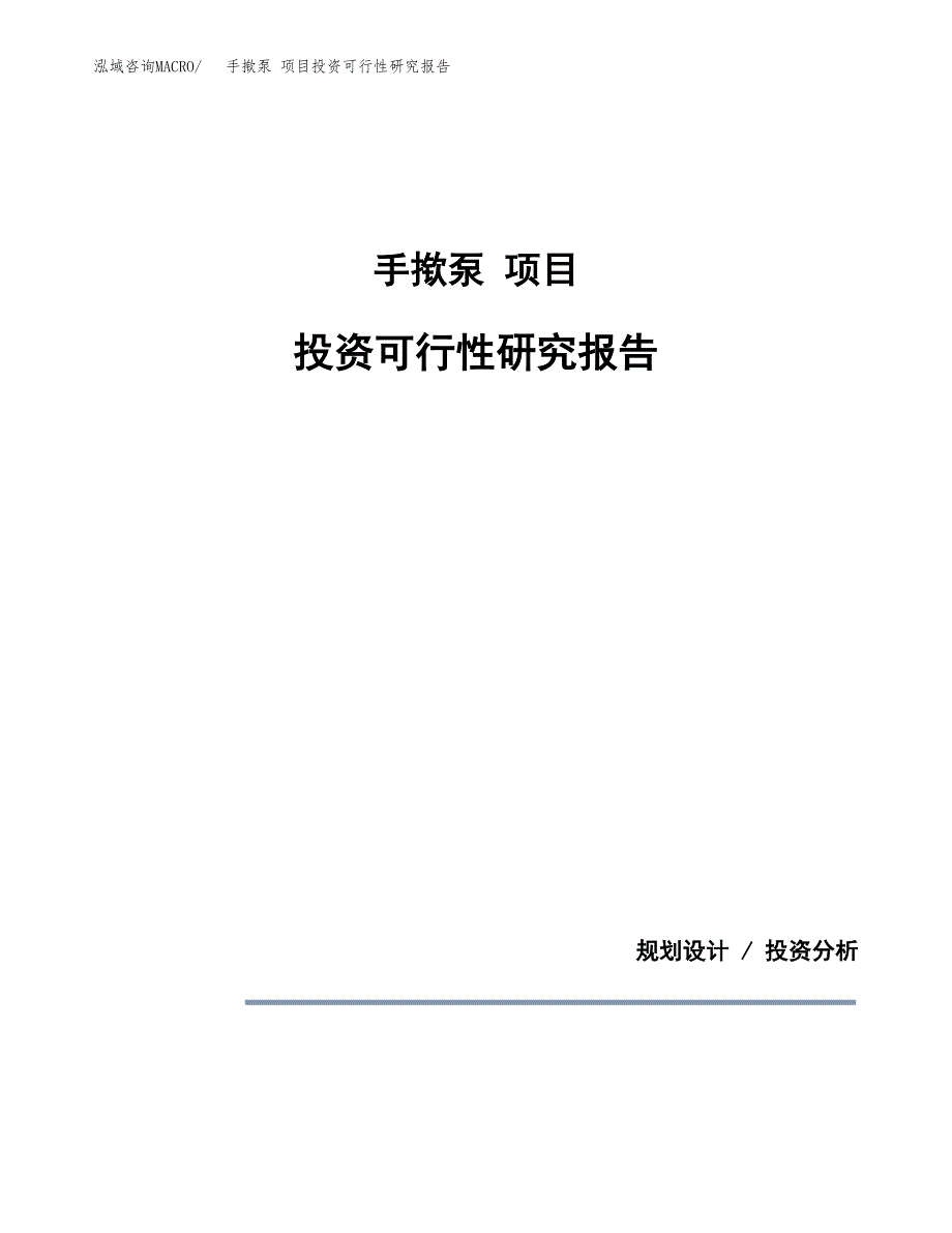 手揿泵 项目投资可行性研究报告.docx_第1页