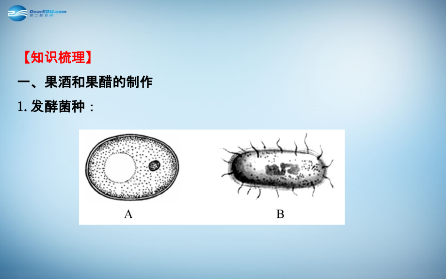 生物技术在食品加工方面的应用课件讲解_第4页