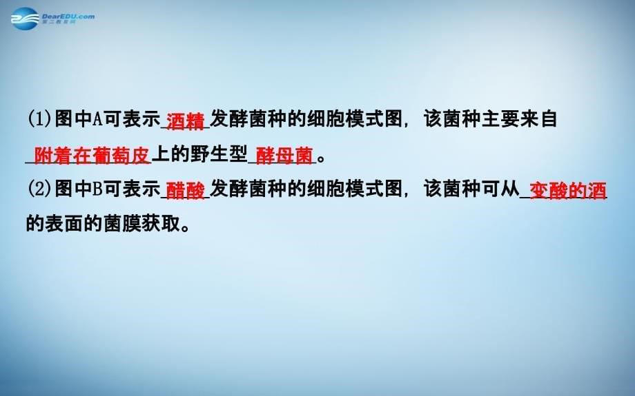 生物技术在食品加工方面的应用课件讲解_第5页