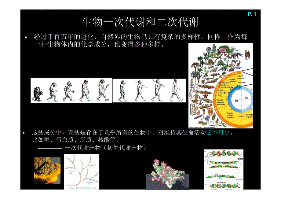 天然产物化学(一)讲解_第2页