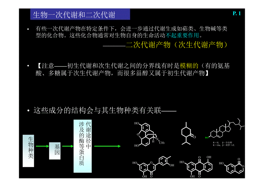 天然产物化学(一)讲解_第3页