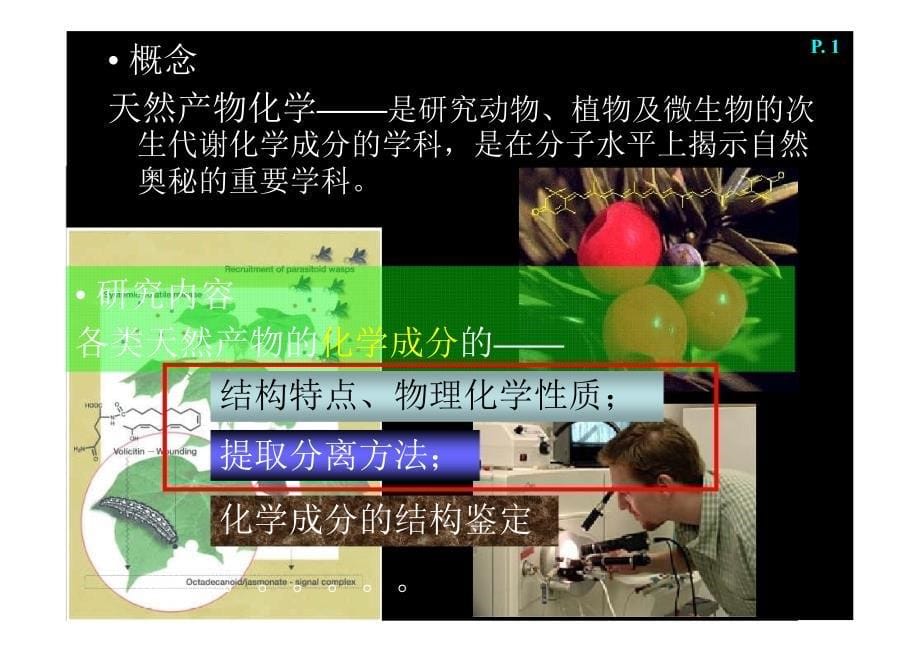 天然产物化学(一)讲解_第5页