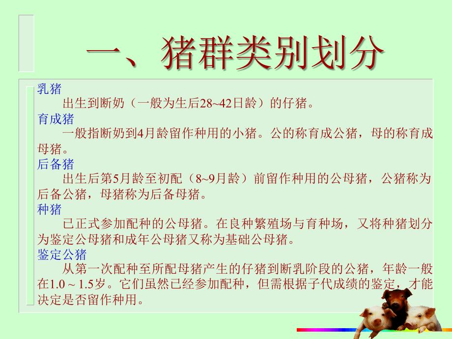 现代养猪新技术评价_杭州农业科学研究院_第4页