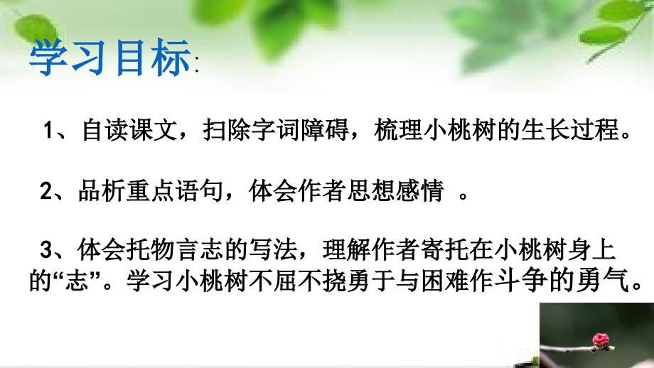 语文人教版部编初一下册《一颗小桃树》教学素材_第2页