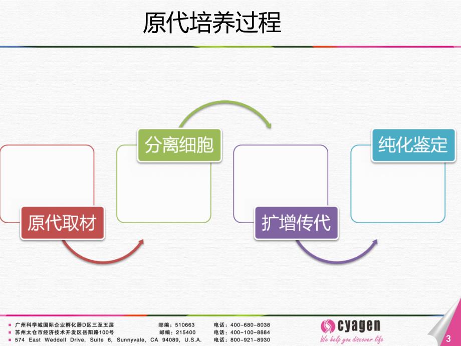 干细胞培养与鉴定教材_第3页