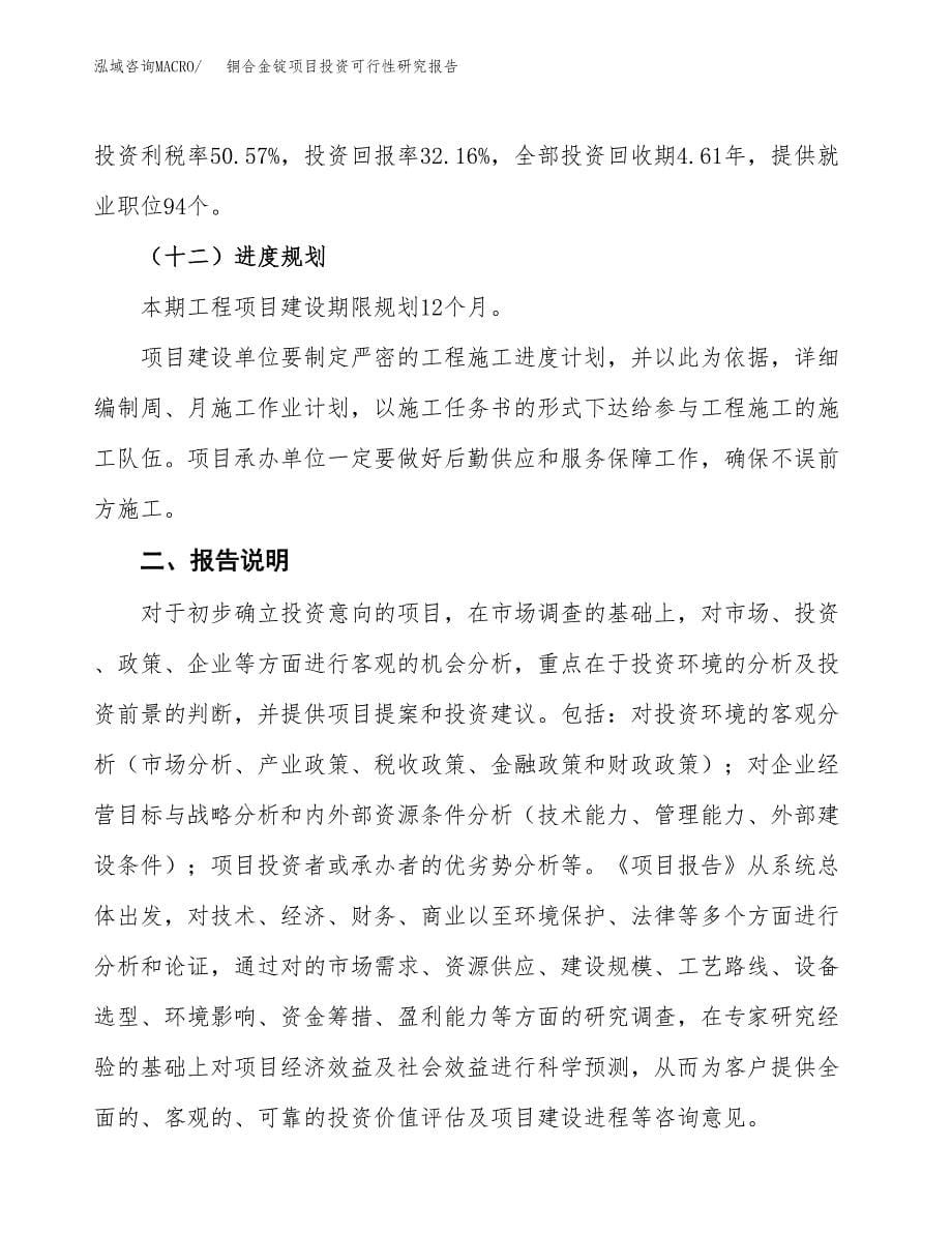 铜合金锭项目投资可行性研究报告.docx_第5页