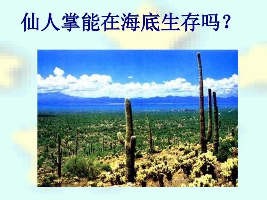 莫苏教版生物七年级上册12生物与环境的关系_第5页