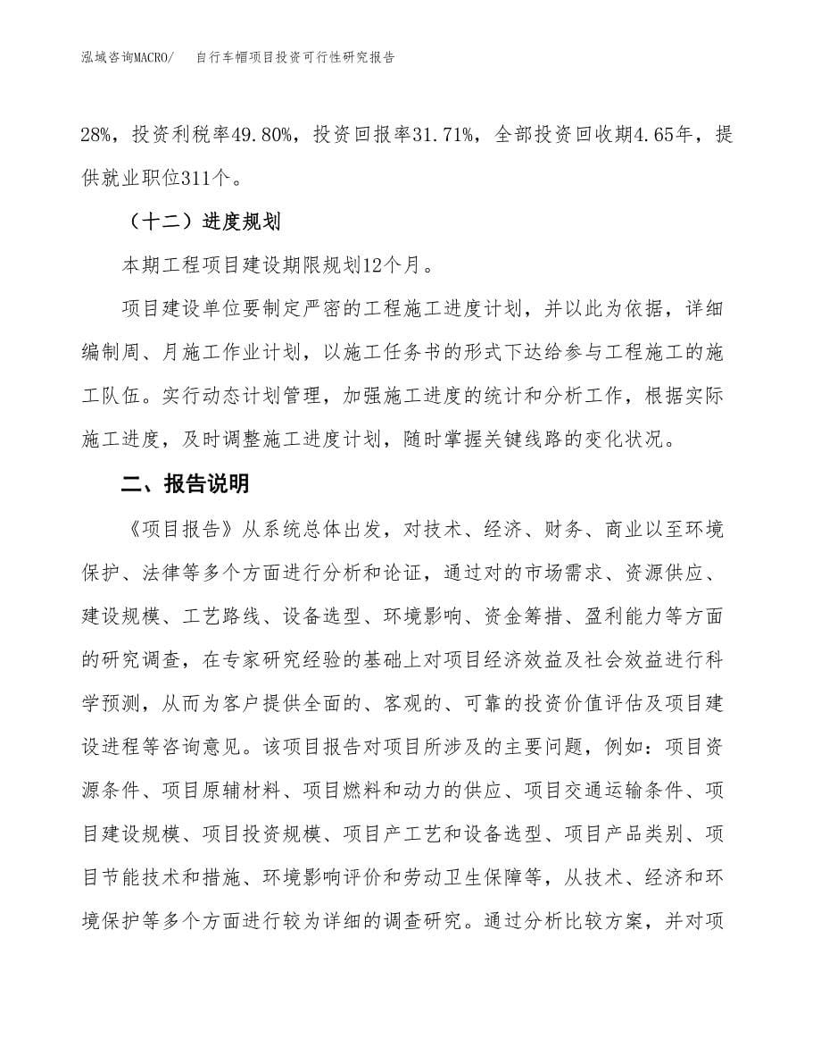 自行车帽项目投资可行性研究报告.docx_第5页