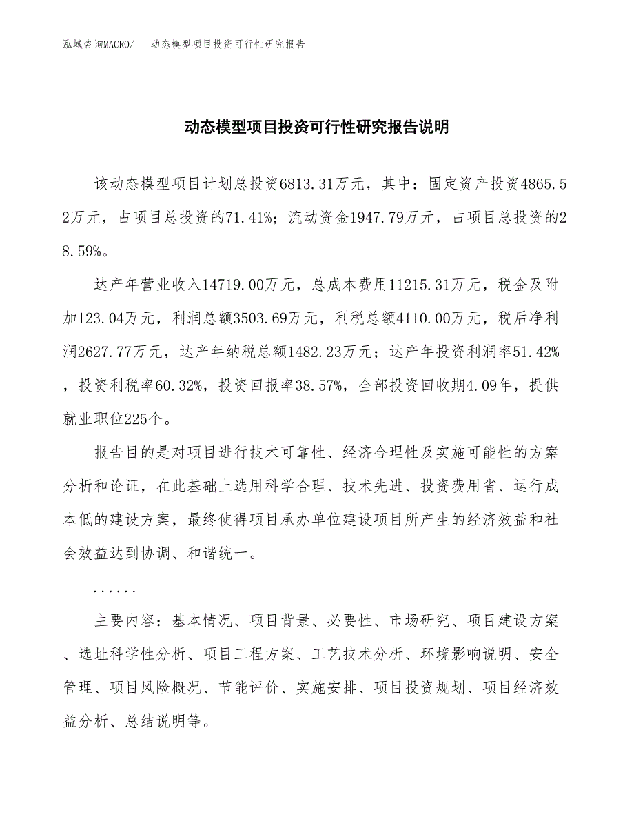 动态模型项目投资可行性研究报告.docx_第2页