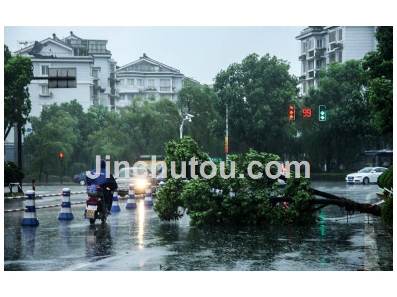 苏教版三下16《跟踪台风的卫星》讲解_第3页