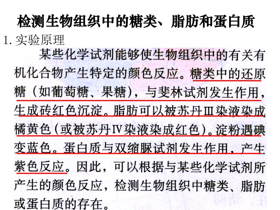 生物：实验《检测生物组织中的糖类、蛋白质、脂肪》课件(新人教版必修1)讲解_第2页