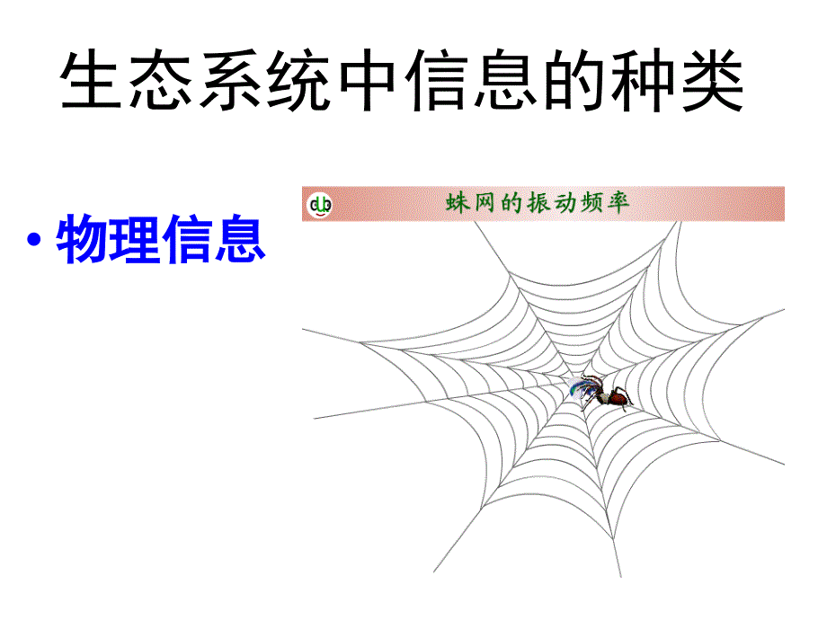 生态系统的信息传递和生态系统的稳定性(上课模板)讲解_第3页