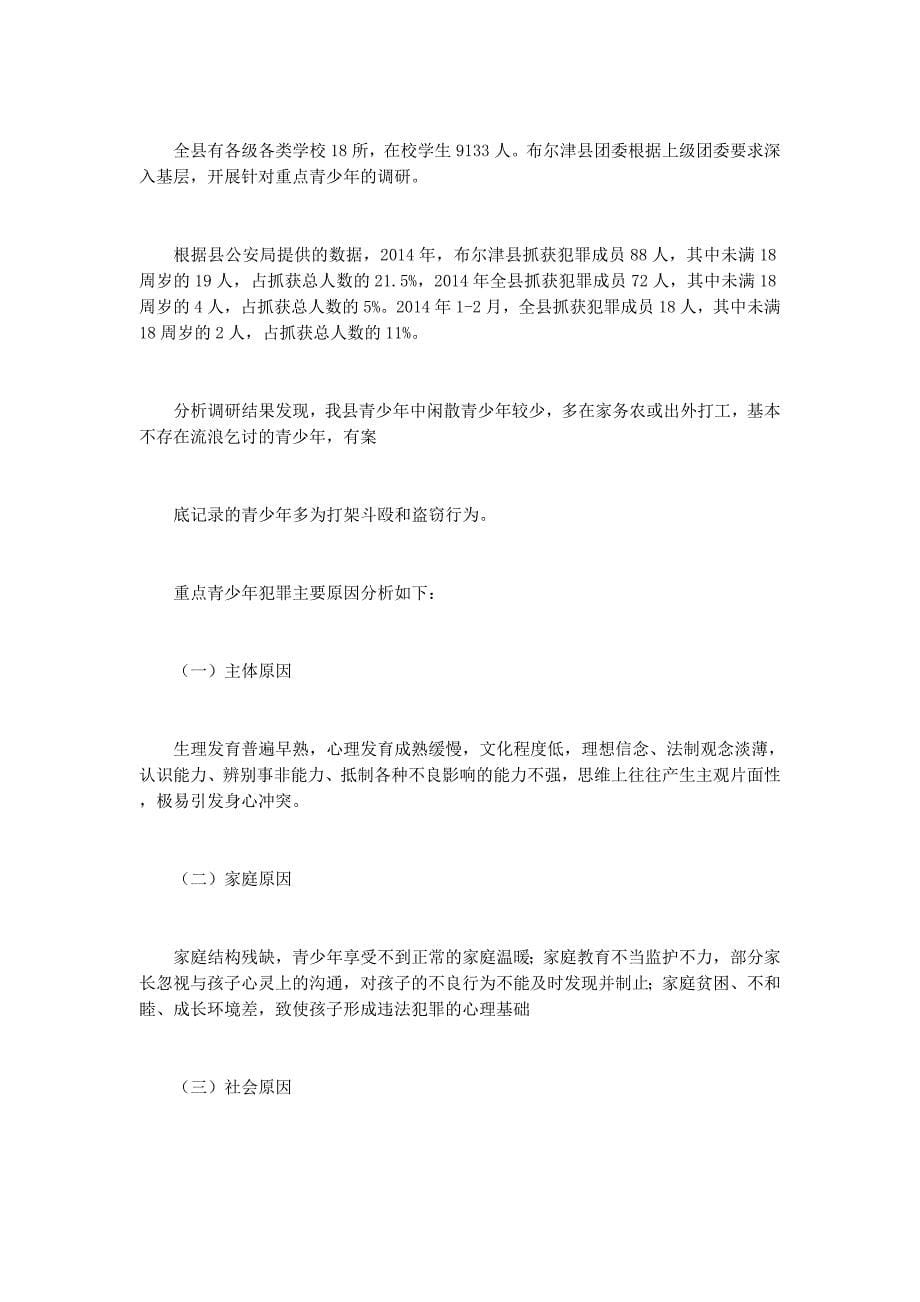 乡团委青年工作调研 报告.docx_第5页