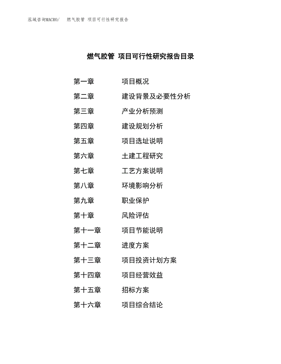 燃气胶管 项目可行性研究报告（总投资6000万元）（31亩）_第2页