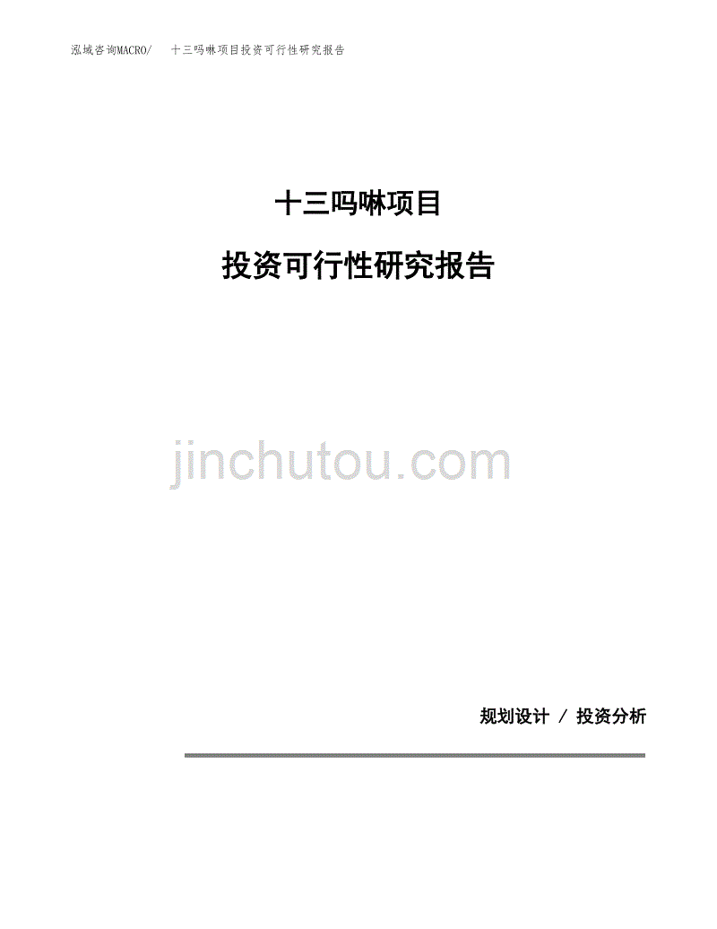 十三吗啉项目投资可行性研究报告.docx_第1页