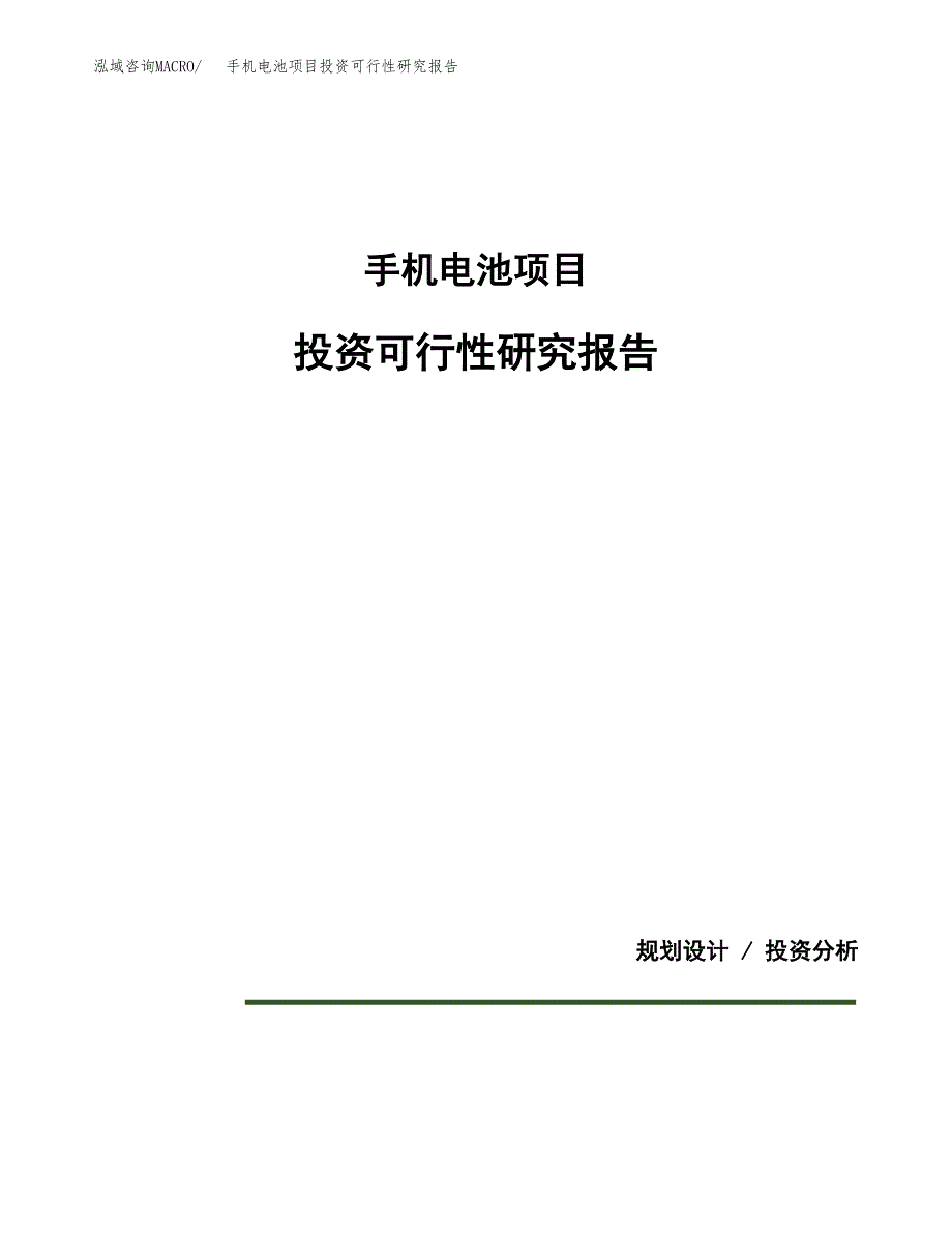 手机电池项目投资可行性研究报告.docx_第1页