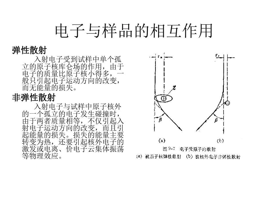 培训-电子显微分析讲解_第5页