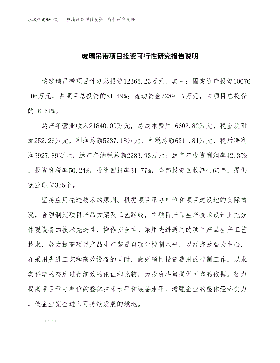 玻璃吊带项目投资可行性研究报告.docx_第2页